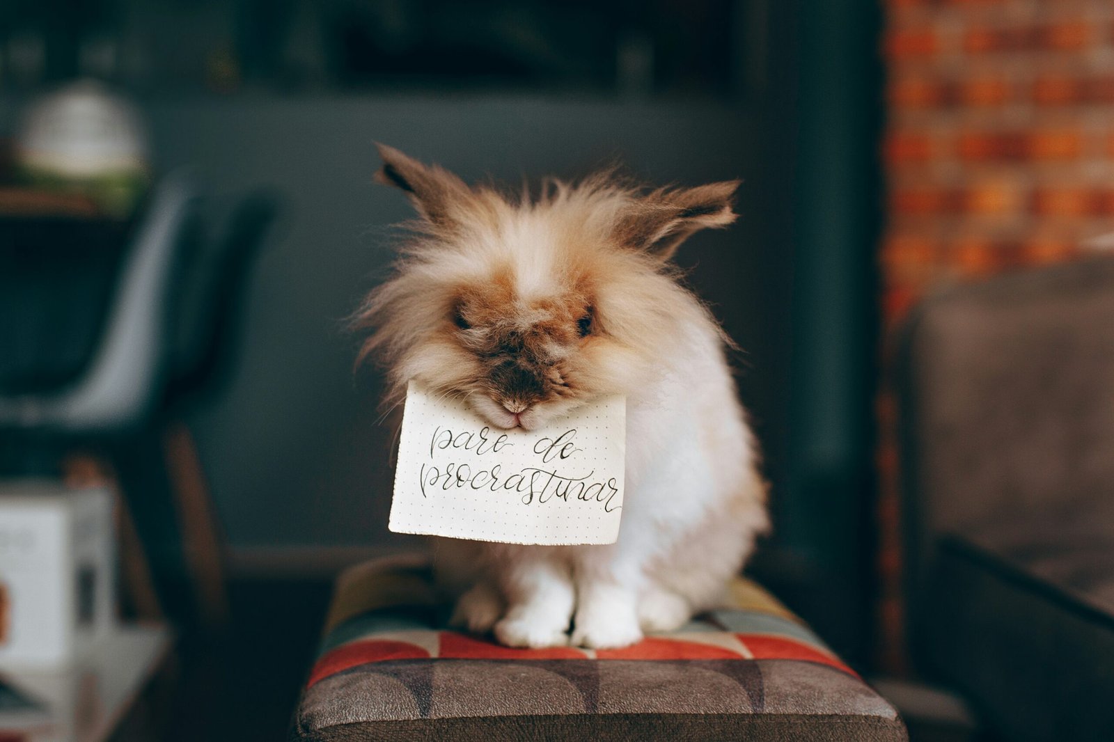 Tame the Urge to Delay: Top 3 Methods to Overcome Procrastination