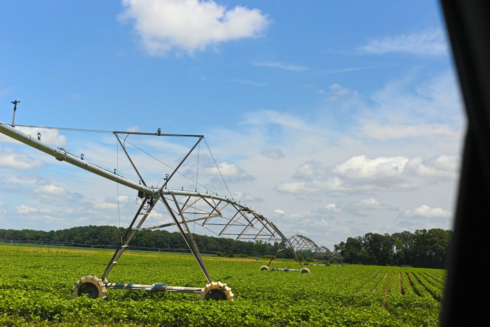 Plan Your Irrigation with Confidence: The PIP Calculator
