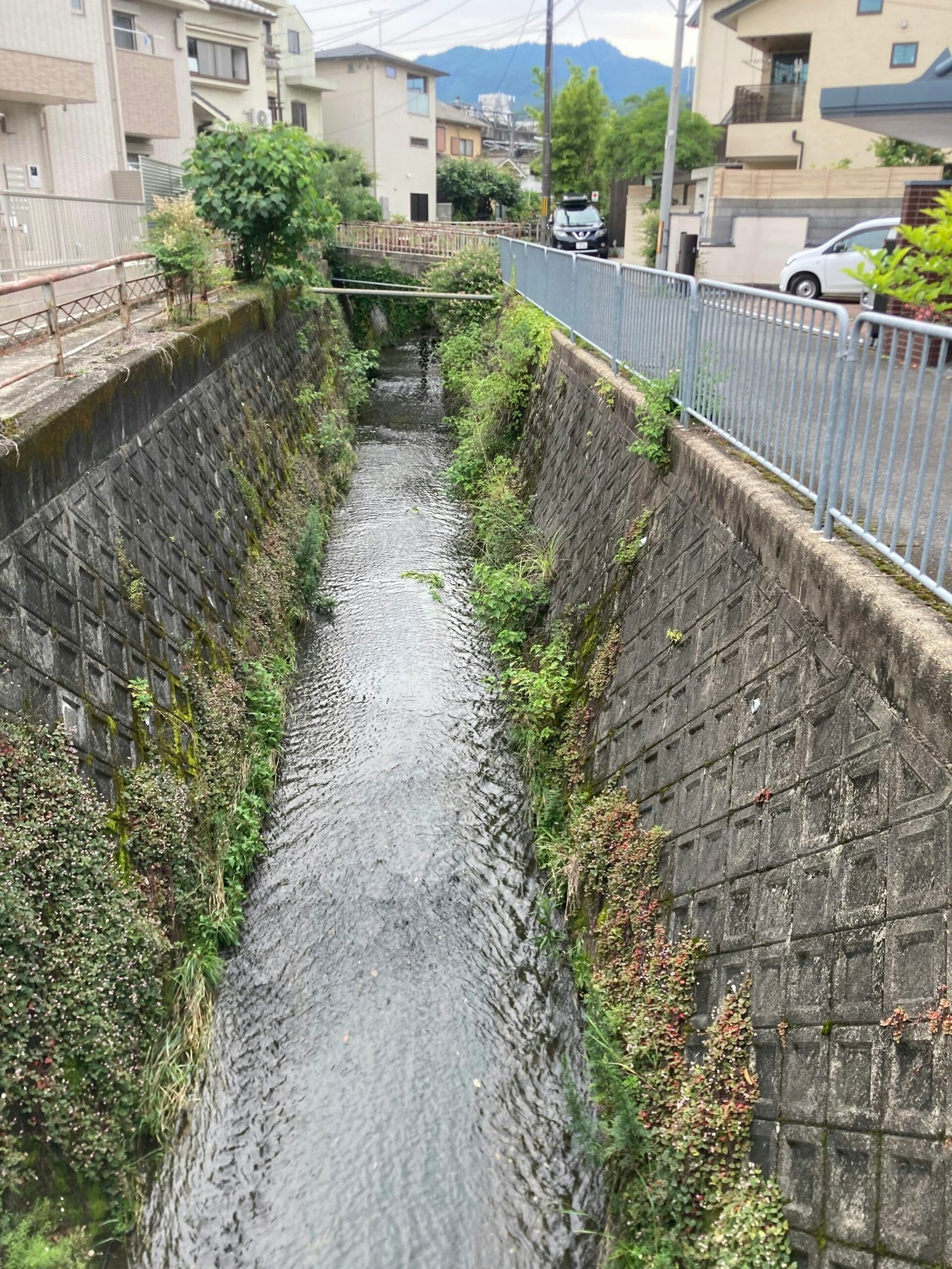 Measure Your Canal's Flow Rate: The Discharge Calculator